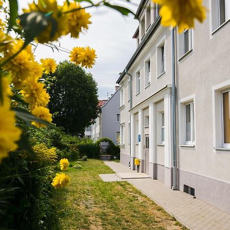 Apartament Na Wspolnej แอลบลอง ภายนอก รูปภาพ